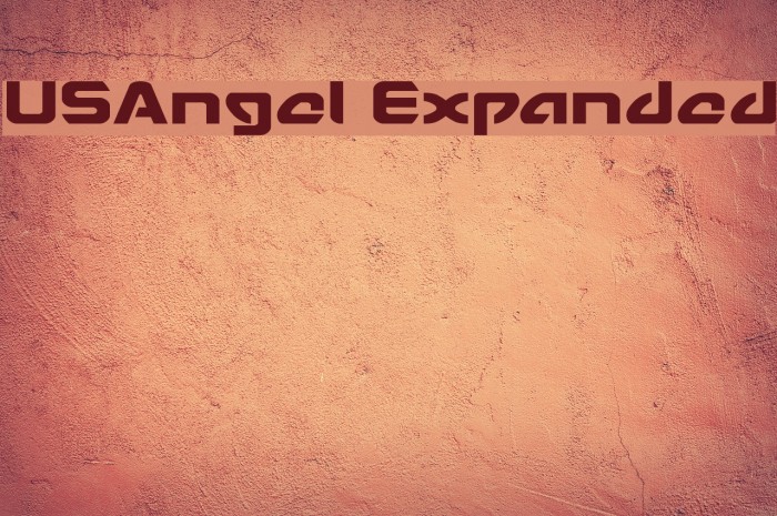 USAngel Expanded Example 3