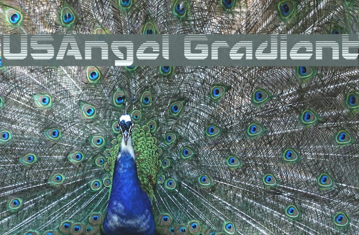 USAngel Gradient Font examples