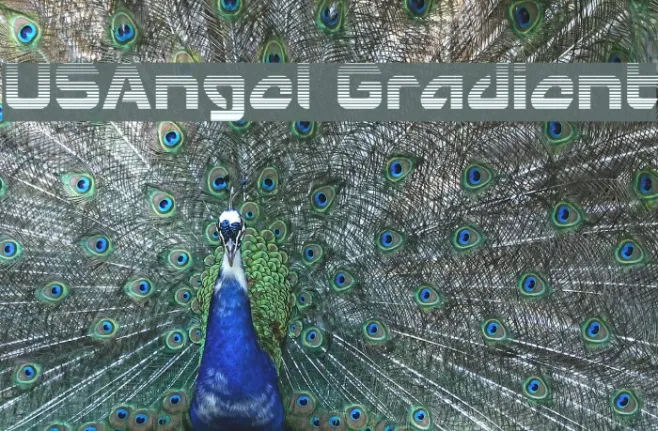 USAngel Gradient Example 1