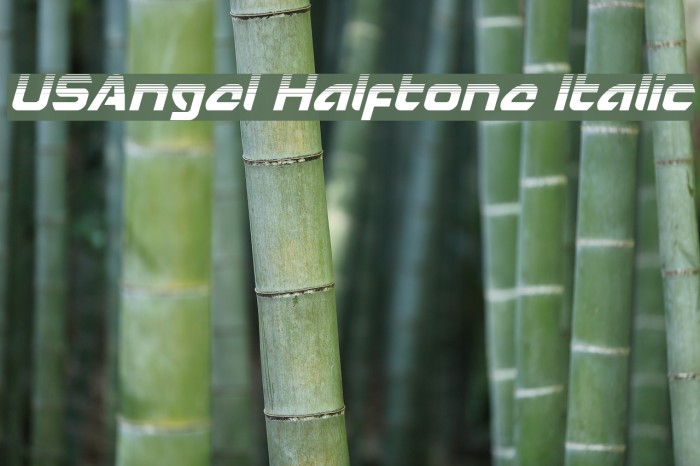 USAngel Halftone Italic Example 1