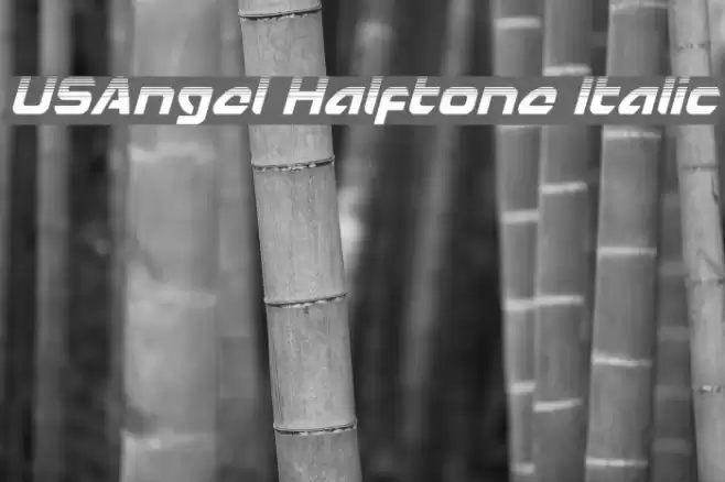 USAngel Halftone Italic Font examples