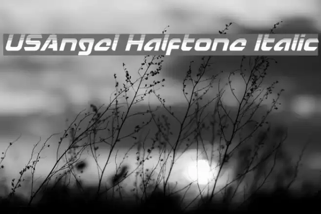USAngel Halftone Italic Font examples