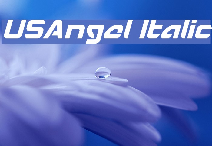 USAngel Italic Font examples