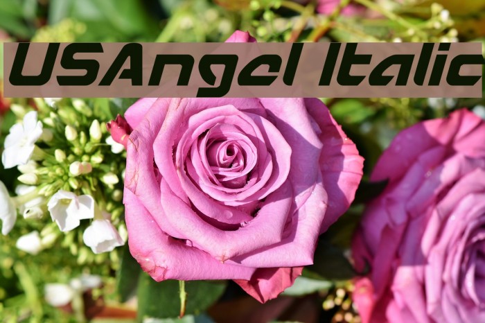 USAngel Italic Font examples