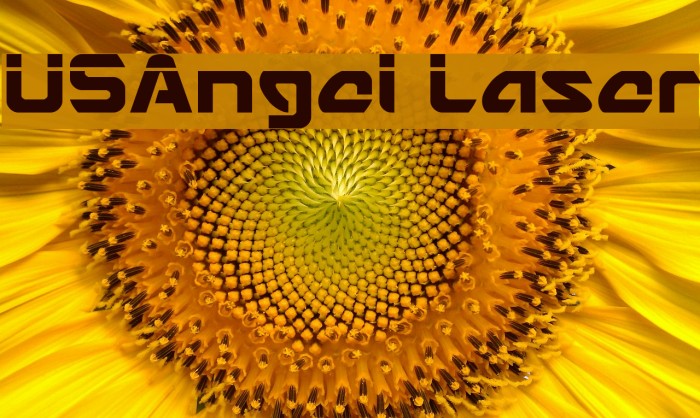 USAngel Laser Font examples