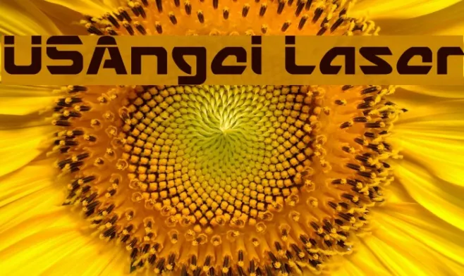 USAngel Laser Example 3