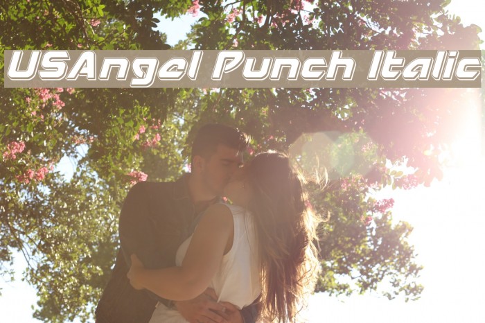 USAngel Punch Italic Example 1