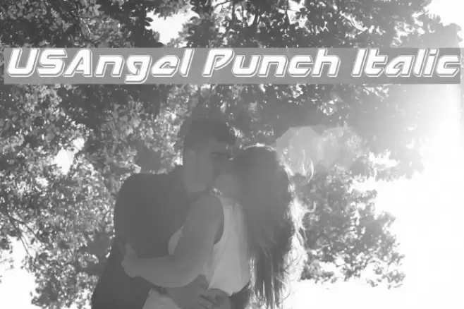 USAngel Punch Italic Font examples