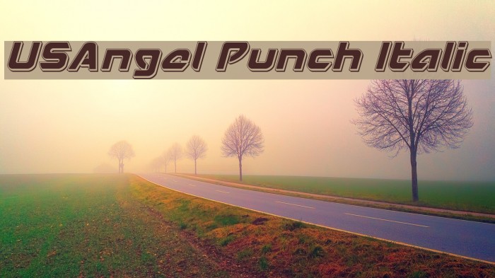 USAngel Punch Italic Example 2