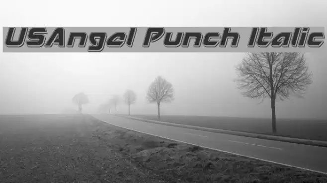 USAngel Punch Italic Font examples