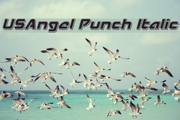 USAngel Punch Italic Example 3