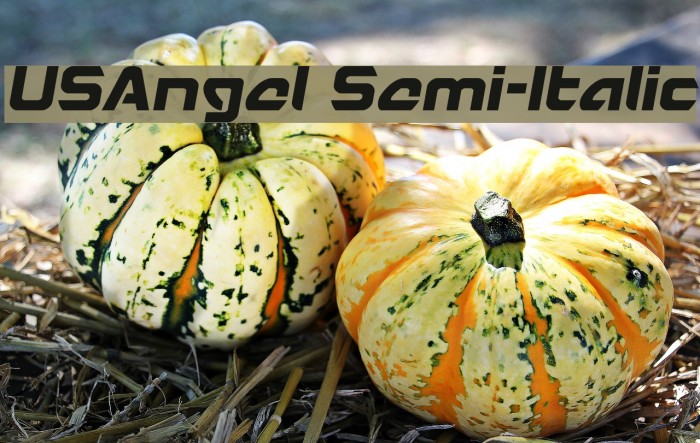USAngel Semi-Italic Font examples