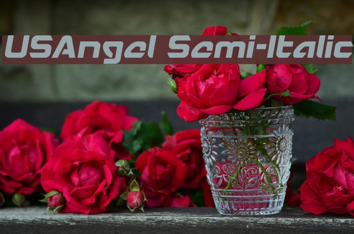 USAngel Semi-Italic Font examples