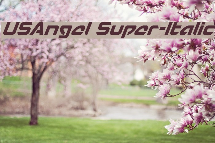 USAngel Super-Italic Шрифта examples