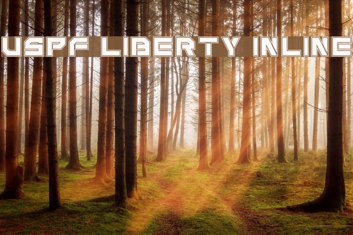 USPF Liberty Inline Font examples