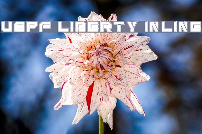 USPF Liberty Inline Font examples