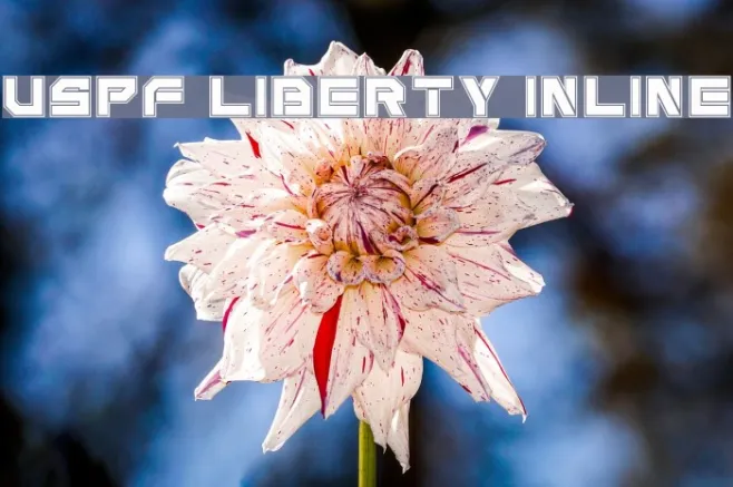 USPF Liberty Inline Example 2