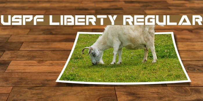 USPF Liberty Regular Font examples