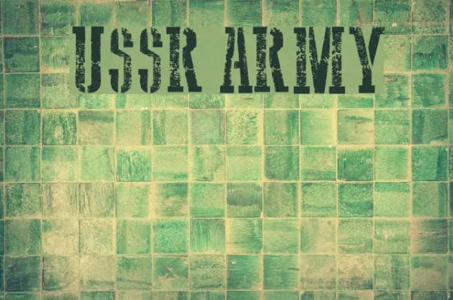 USSR Army Example 3