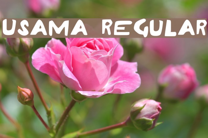 Usama Regular Font examples