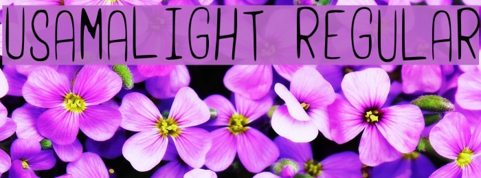 UsamaLight Regular Font examples