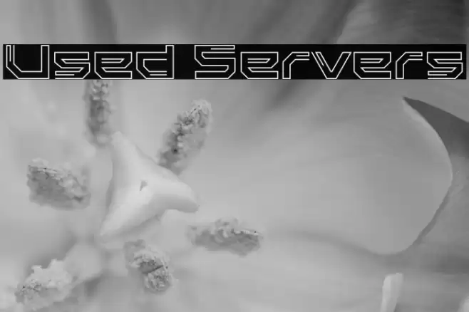 Used Servers Font examples