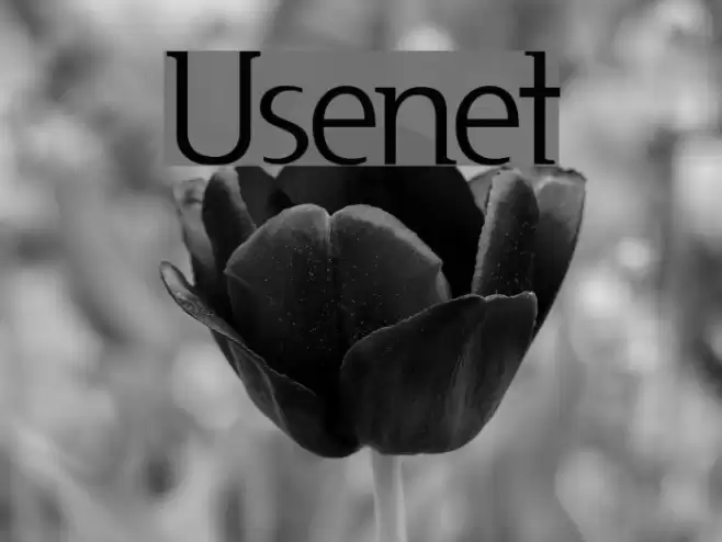 Usenet Polices examples