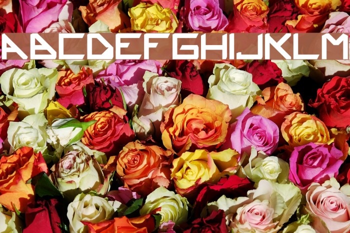 Ustura Regular Font examples