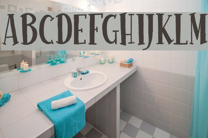Usual Day One Font examples
