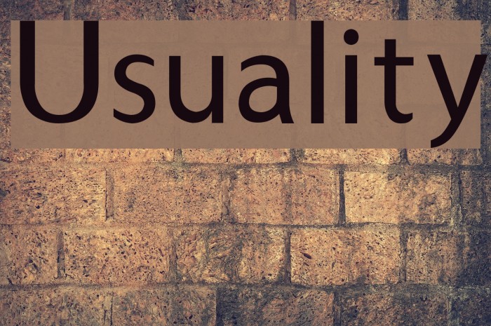 Usuality Font examples