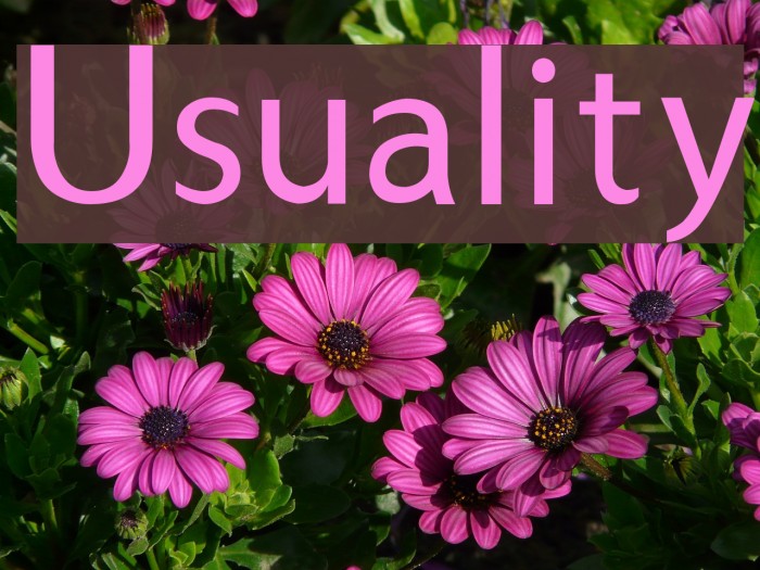 Usuality Font examples