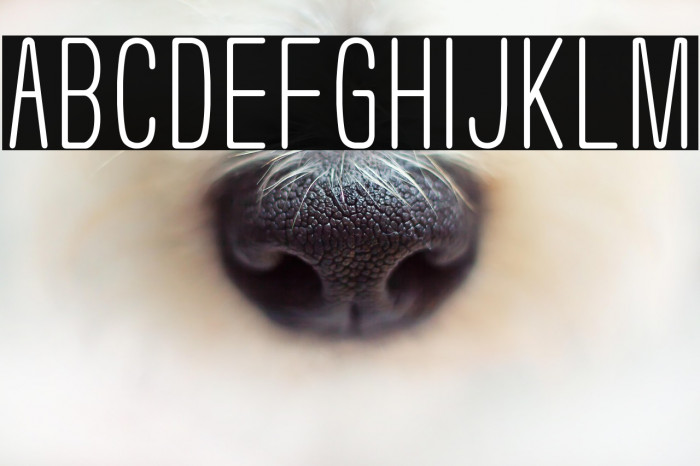 Usuazi Hosomozi Example 1