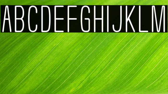 Usuazi Hosomozi Example 2