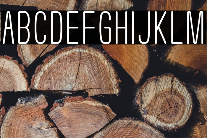 Usuazi Hosomozi Example 3