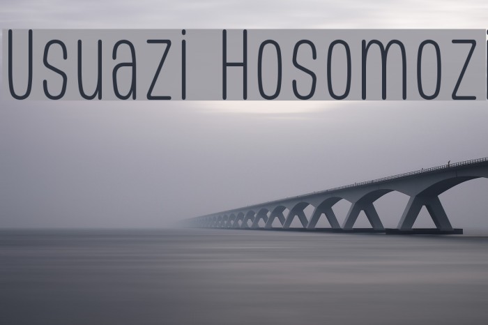 Usuazi Hosomozi Example 1