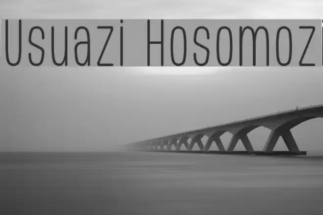 Usuazi Hosomozi Font examples