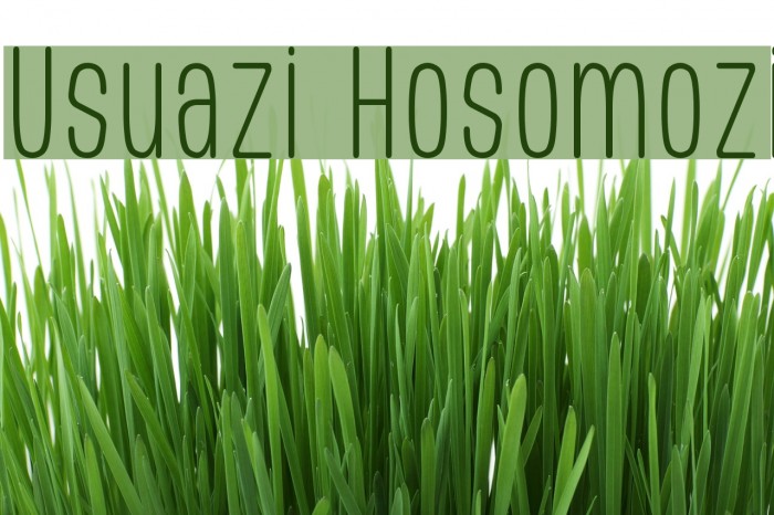 Usuazi Hosomozi Example 3