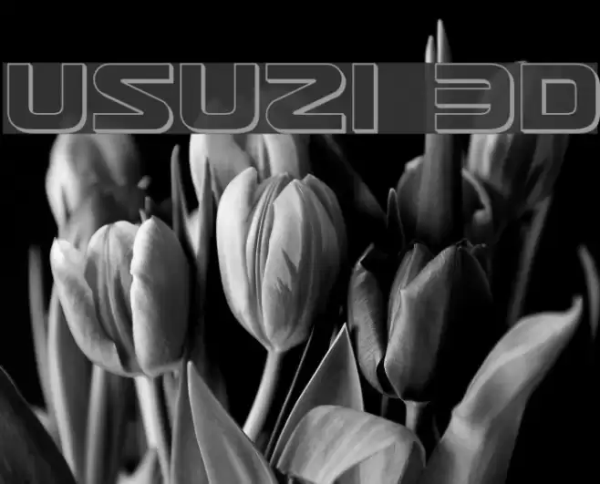 Usuzi 3D Font examples