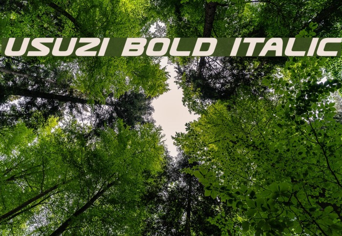 Usuzi Bold Italic Example 1