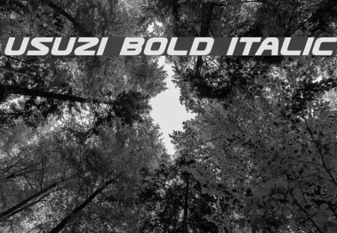 Usuzi Bold Italic examples