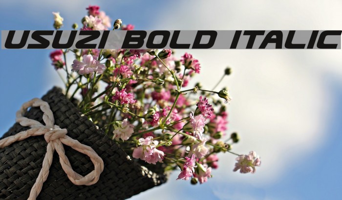 Usuzi Bold Italic Example 2