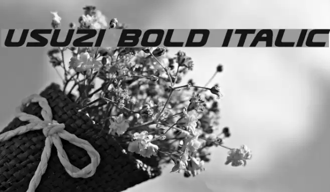 Usuzi Bold Italic examples