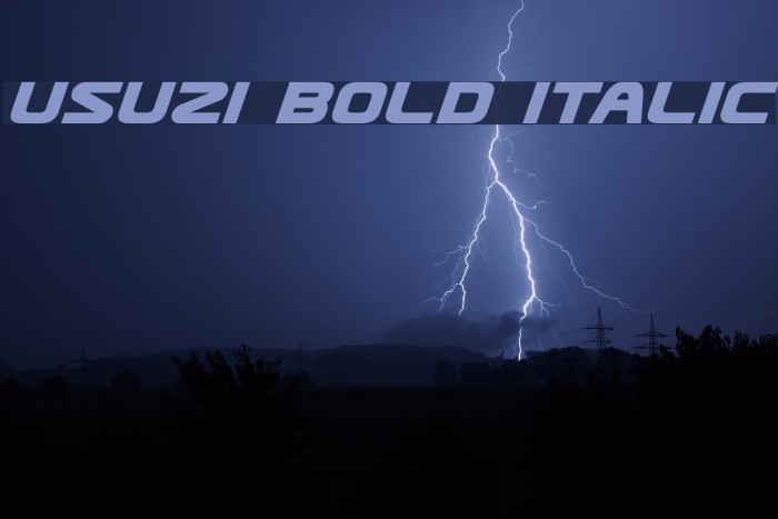 Usuzi Bold Italic Example 3