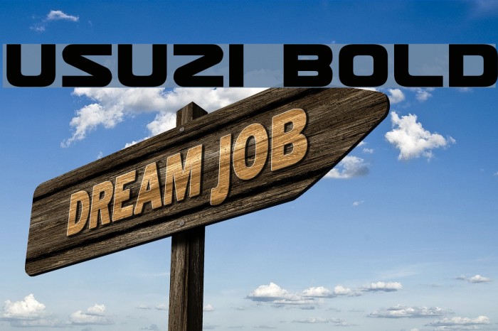 Usuzi Bold Font examples