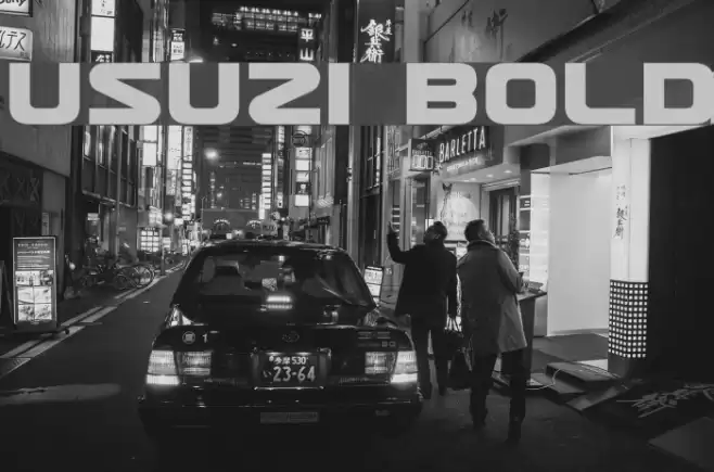 Usuzi Bold Font examples