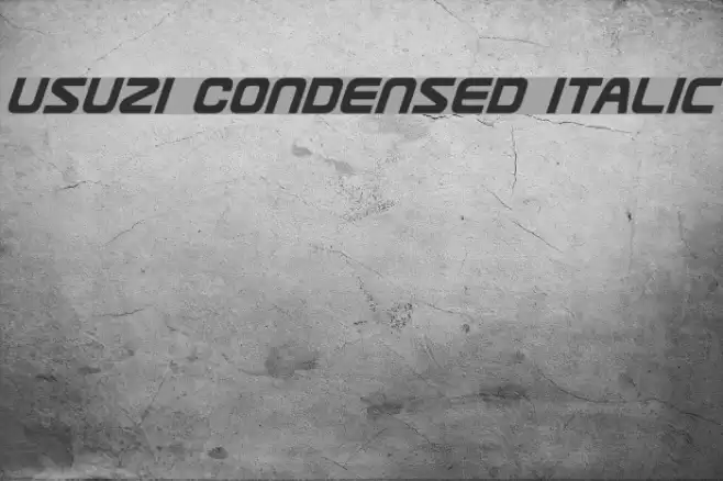 Usuzi Condensed Italic examples