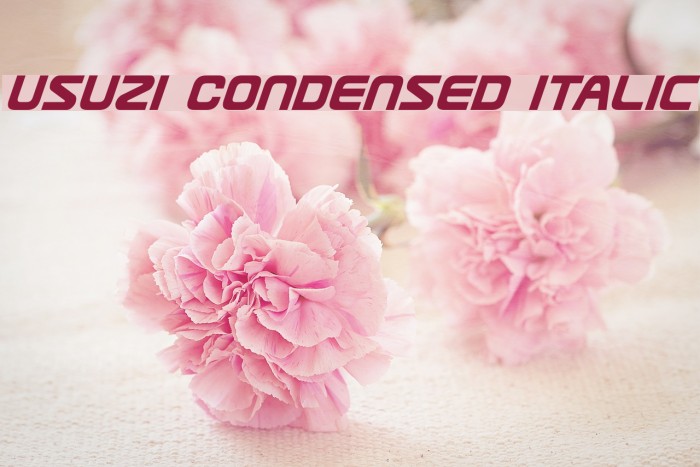 Usuzi Condensed Italic Font examples