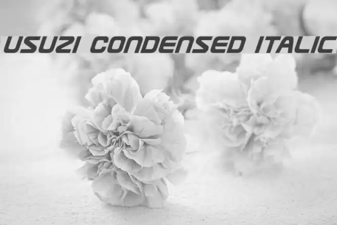 Usuzi Condensed Italic examples