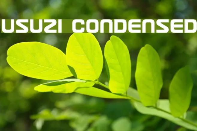 Usuzi Condensed Example 1