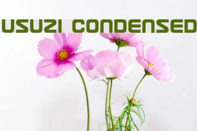 Usuzi Condensed Example 2